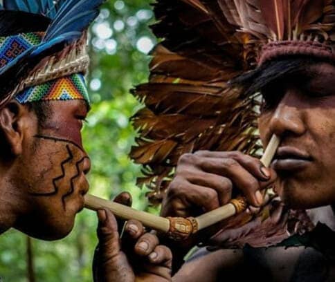 Aplicação ritual de rapé com tepi, na floresta